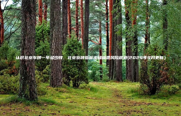 认识北京车牌一年多少钱、北京京牌指标出租租赁风险规避(2024年9月更新）