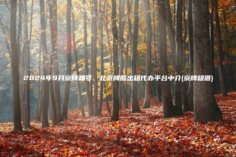 2024年9月京牌租号、北京牌照出租代办平台中介(京牌租借)
