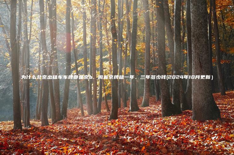 为什么北京出租车车牌都是京b、闲置京牌租一年、三年多少钱(2024年10月更新）