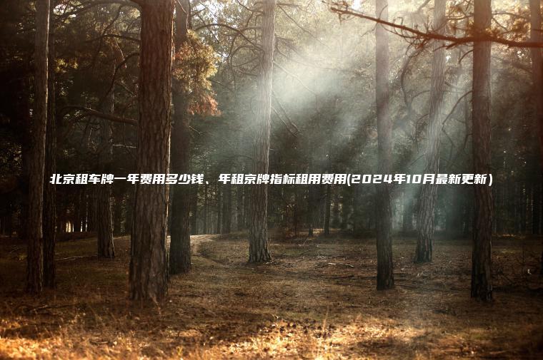 北京租车牌一年费用多少钱、年租京牌指标租用费用(2024年10月最新更新）