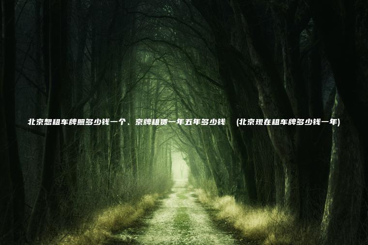 北京想租车牌照多少钱一个、京牌租赁一年五年多少钱  (北京现在租车牌多少钱一年)
