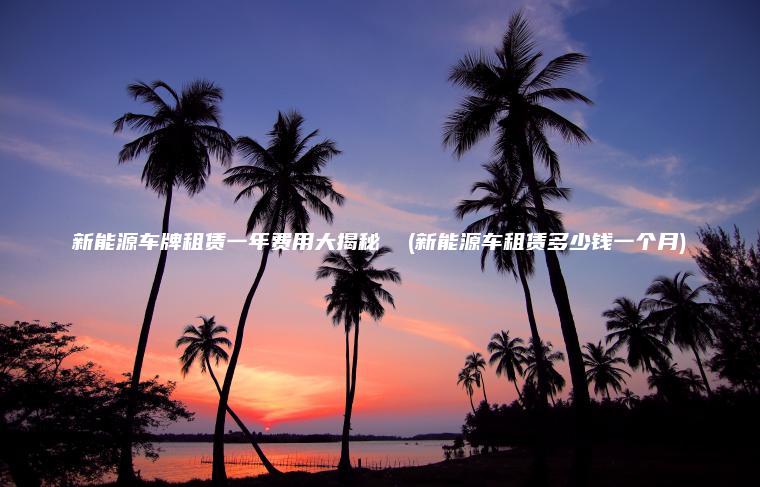 新能源车牌租赁一年费用大揭秘  (新能源车租赁多少钱一个月)