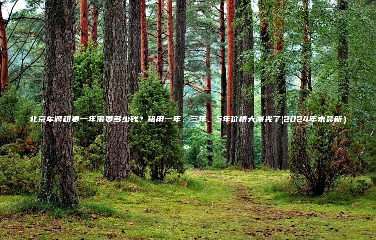 北京车牌租赁一年需要多少钱？租用一年、三年。5年价格大曝光了(2024年末最新）