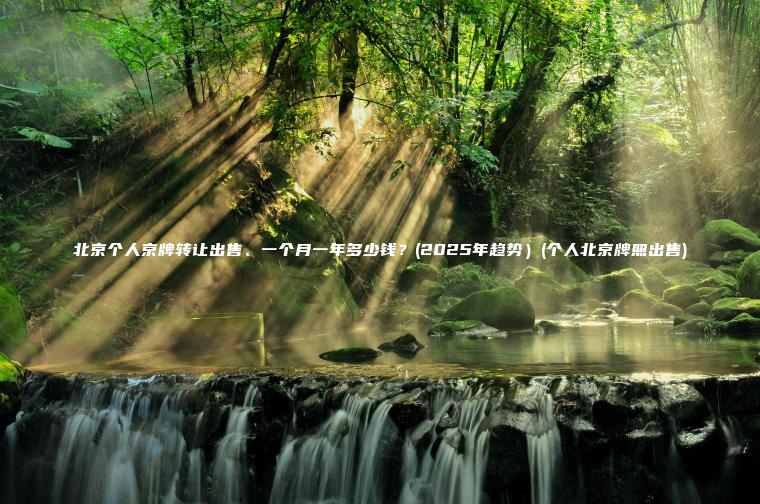 北京个人京牌转让出售、一个月一年多少钱？(2025年趋势）(个人北京牌照出售)