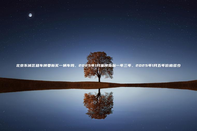 北京东城区租车牌要新买一辆车吗、2025年1月油牌指标一年三年、2025年1月五年价格多少