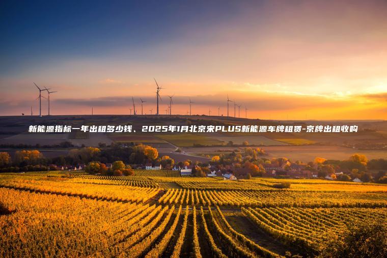 新能源指标一年出租多少钱、2025年1月北京宋PLUS新能源车牌租赁-京牌出租收购